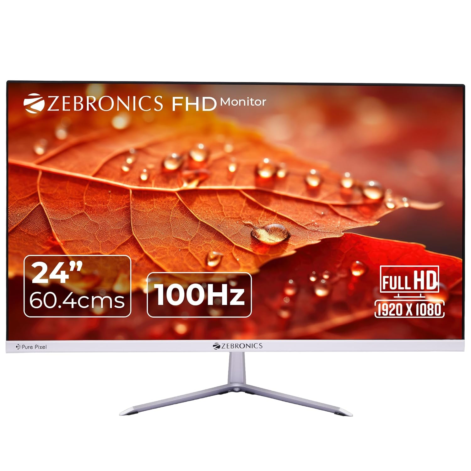 Zebronics 24 Inch Monitor | Full HD | Frameless Design